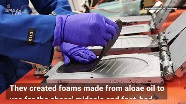 Algae-Based Flip-Flops Could Help Reduce Tons of Plastic Waste