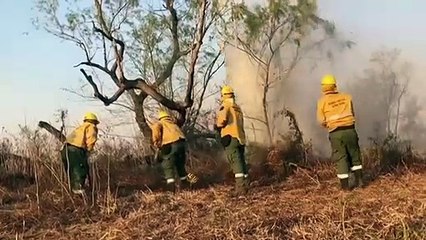حرائق غير مسبوقة نلحق ضررا كبيرا بدلتا نهر بارانا في الأرجنتين