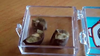 What Northern Lights Actually Look Like