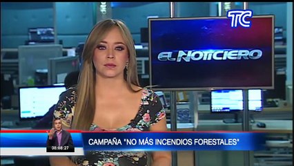 Gobierno pone en marcha la campaña “No más incendios forestales”