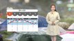 [날씨] 충청·남부 지방에 국지성 호우...최대 250mm 이상 내릴 듯 / YTN