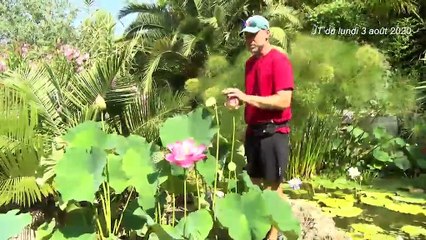 LE JOURNAL DE LA QUOTIDIENNE : Le journal du vendredi 7 août 2020