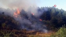 Kastamonu’da ormanlık alanda çıkan yangın rüzgar nedeniyle kontrol altına alınamıyor