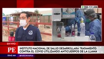 El INS desarrolla tratamiento contra COVID-19 usando anticuerpos de llamas | Primera Edición (HOY)