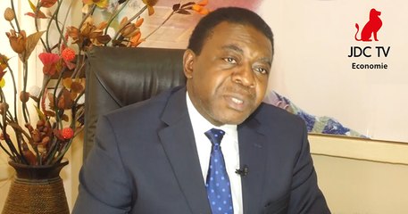 EMILE BEKOLO : laissons le soin aux privés de développer Camair-Co