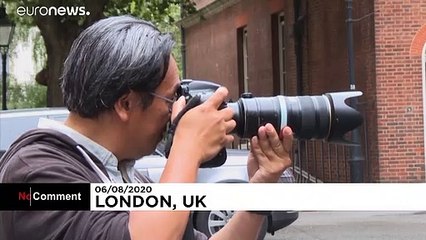 International Cat Day: Larry poses for photo shoot in Downing Street