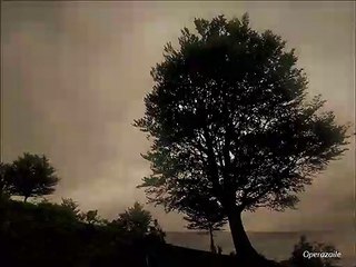 Neukomm: Requiem [Jean-Claude Malgoire] 2008