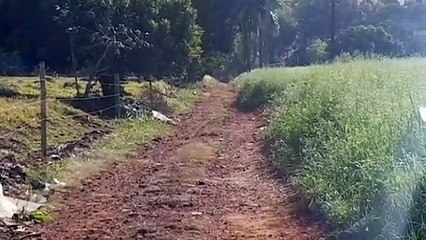 Homem é encontrado morto no Bairro Brasmadeira