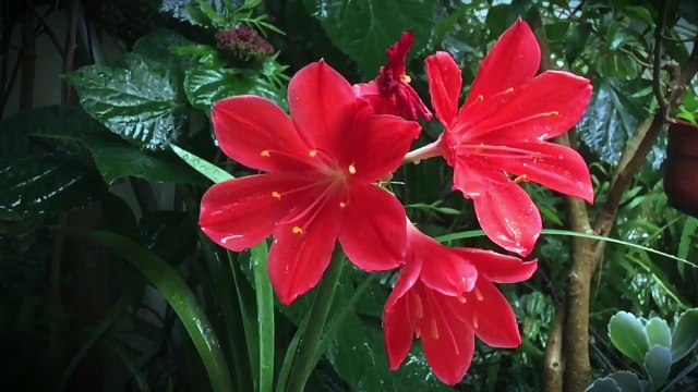 MÚSICA PIANO PARA DORMIR EM INSTANTES - música para insônia