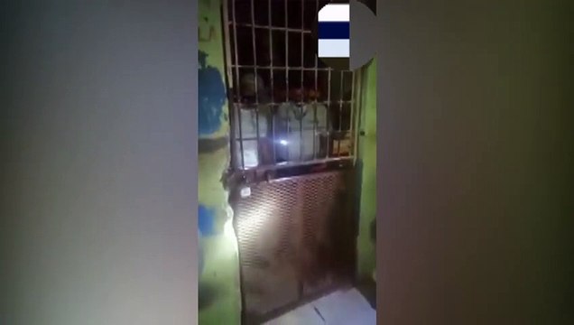 ext-reos-planean-fuga-070820