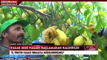 Ana Haber - 07 Ağustos 2020 - Seda Anık- Ulusal Kanal