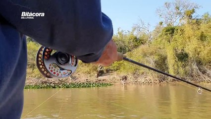 FLY FISHING CON CARLOS Y ALEJANDRO SCHELLER · Goya, Corrientes