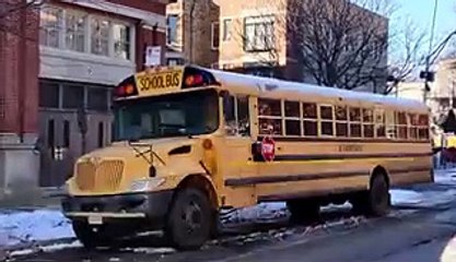 Why school buses have looked the same for 80 years