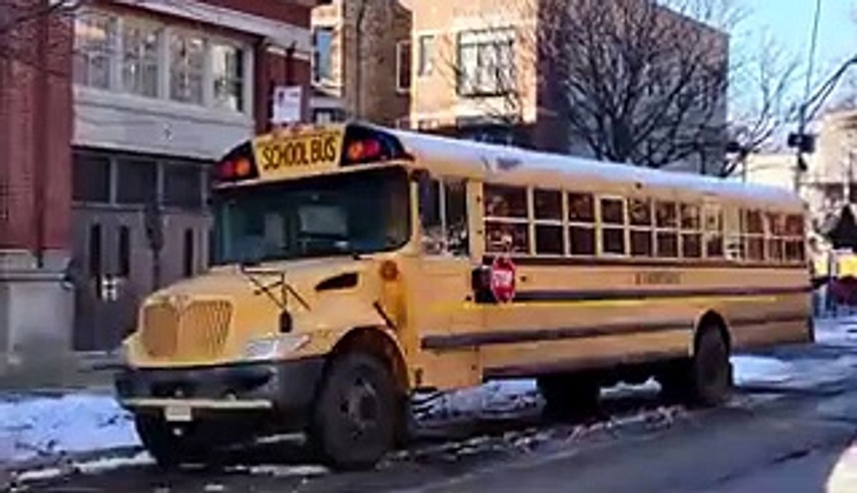 Why school buses have looked the same for 80 years