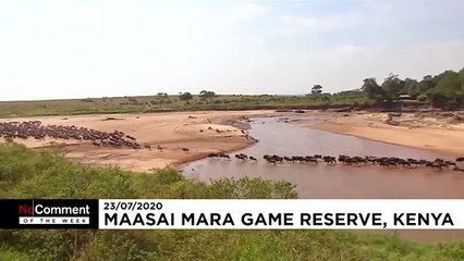 Die Bilder der Woche: Naturschauspiel, Straßenfest ohne Zuschauer