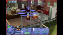 Sims LS Best of Both Worlds