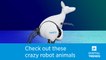 Check out the weirdest robotic animals ever created | Robots Everywhere