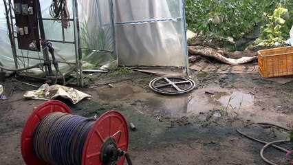 긴 장마에 농작물 피해 속출...농가 시름 / YTN