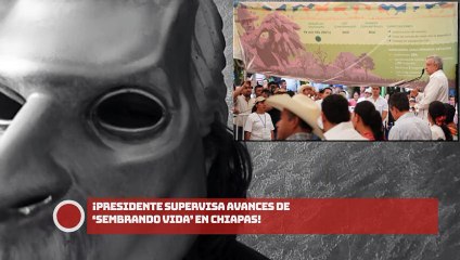 ¡Presidente supervisa avances de ‘Sembrando Vida’ en Chiapas!