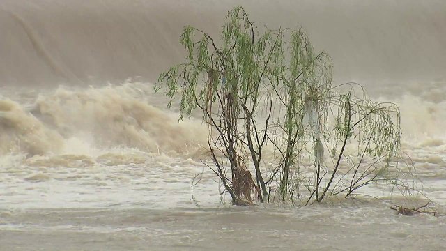 대구·경북, 도로 침수 등 크고 작은 피해 잇따라 / YTN