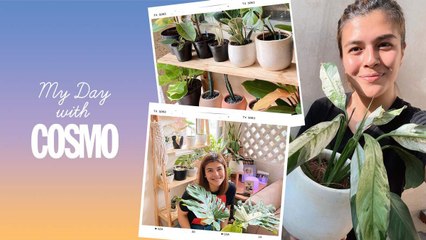 My Day With Cosmo: I Have Over 100 Plants And This Is What My Garden Looks Like