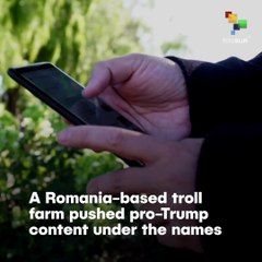 U.S. Facebook Removes Foreign Pro-Trump Troll Farms