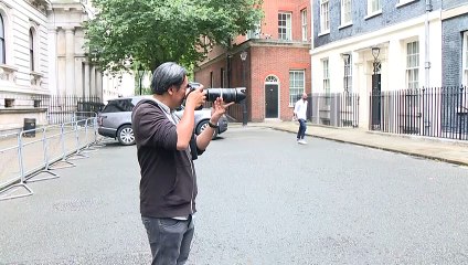 International Cat Day: The art of photographing Larry, the beloved Downing Street cat