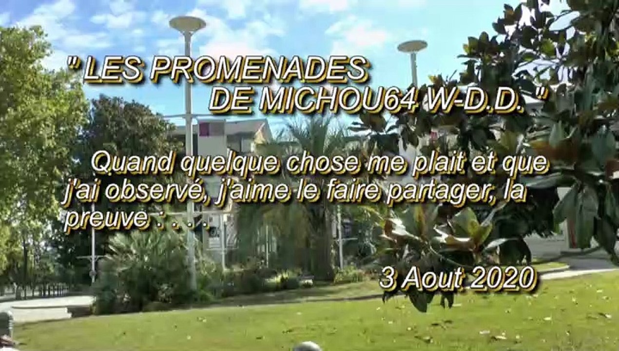 LES PROMENADES DE MICHOU64 W-D.D. - 3 AOUT 2020 - AU PARC BEAUMONT DEVANT LE PALAIS BEAUMONT