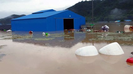 전남 주민 1,870여 명 대피...고립도 잇따라 / YTN