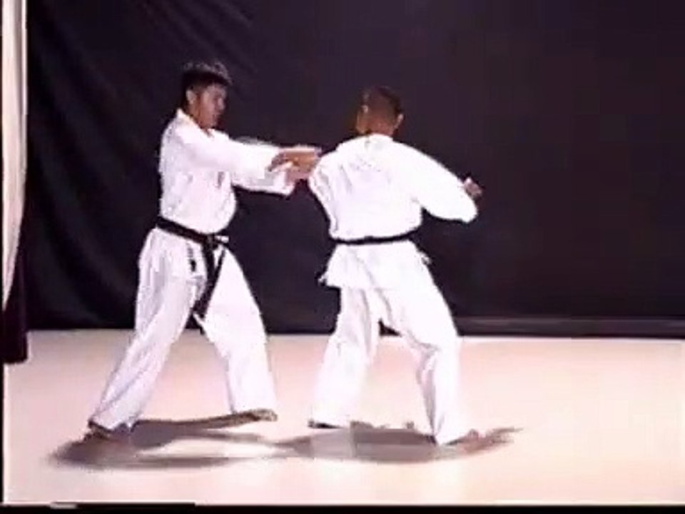 Travail Tori/Uke