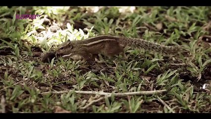Unarvugal Thudarkathai - Rakesh Sreekumaran - Moodtapes - Kappa TV