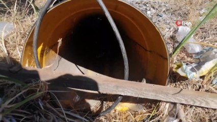 Kafası turşu bidonuna sıkışan köpek vatandaşları seferber etti