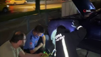 Otomobile sıkışan kedi için seferber oldular