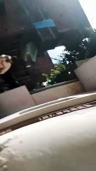 शाहजहांपुर में अपराधी बेखौफ, खाकी का नहीं है खौफ