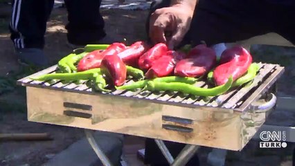 Son dakika haberi: İçişleri'nden 'Orman Yangınları' genelgesi | Video