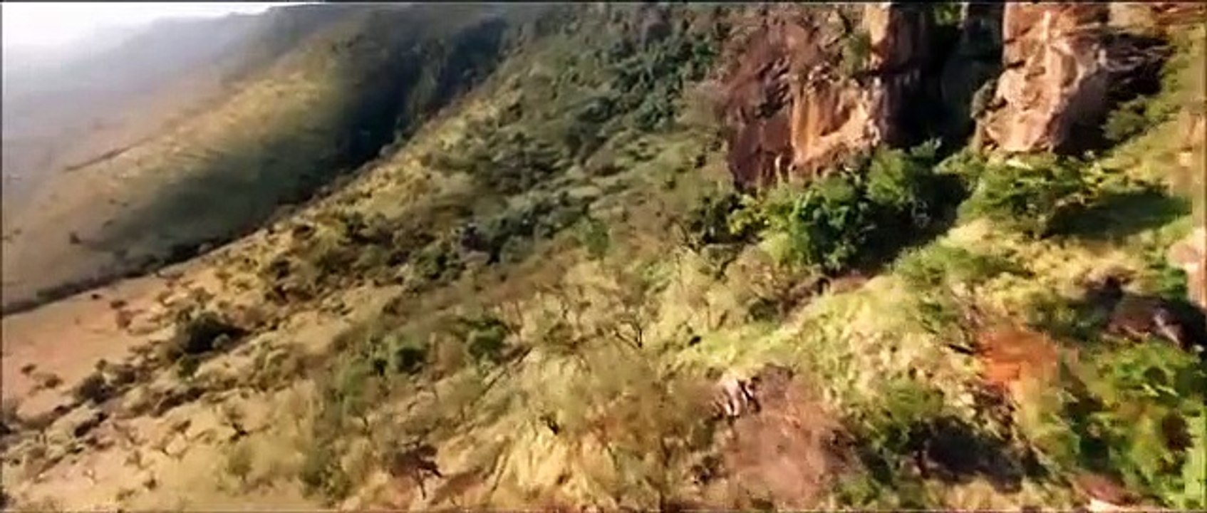 Amazing Nature, Whatsapp Status ,4k clearity, tigers, lions,birds, flowers in this video.Amazing Nature, Whatsapp Status ,4k clearity, tigers, lions,birds, flowers in this video. Amazing Nature, Whatsapp Status ,4k clearity, tigers, lions,birds, flowers i