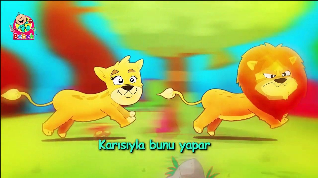 Aslan - Türkçe