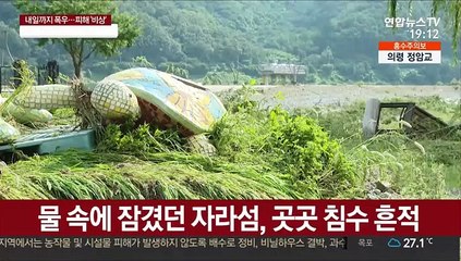 자라섬·남이섬 복구 시작…주말 비에 "긴장"