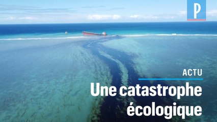 Marée noire sur l’Île Maurice : « On fabrique des bouées avec des cheveux et des plumes de pintades »