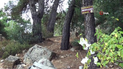 İlginç görüntünün adresi Büyükada oldu: Dilek çaputu yerine maske bağladılar