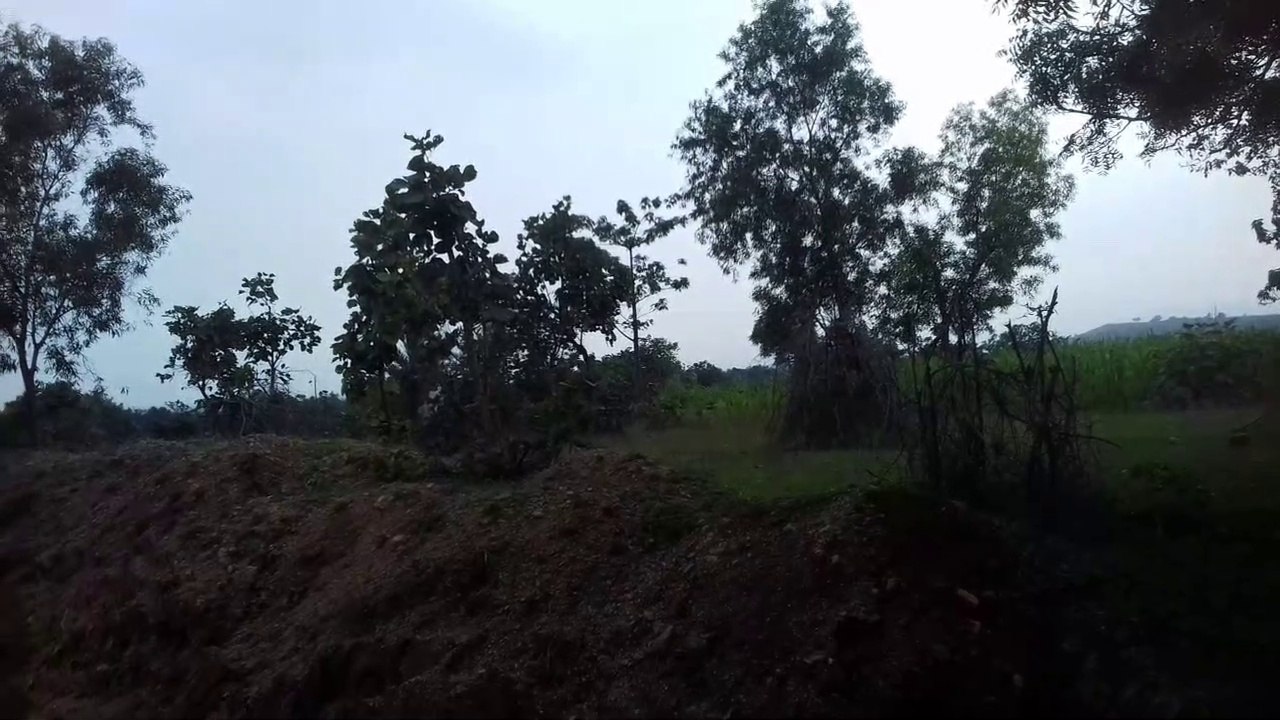 बिहार के गाँव के आनंद ही कुछ और ही है