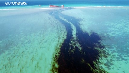 Mauritius declares state of environmental emergency after oil leak from stranded ship