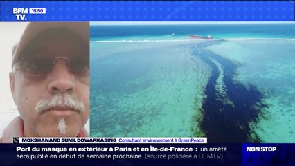 Île Maurice: le consultant environnement à Greenpeace assure que "la biodiversité marine a été endommagée massivement"