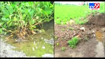 Heavy rain damaged farms, farmers seeking govt help - Gir-Somnath