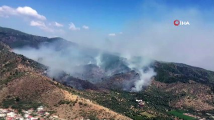 - Milas’taki orman yangınına müdahale sürüyor