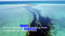 Aerial footage shows extent of Mauritius oil leak from bulk carrier
