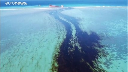 Marée noire à l'île Maurice : Emmanuel Macron annonce l'envoi d'équipes et de matériel