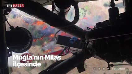 Muğla'da ormanlık alanda yangın