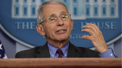 Fauci: Chances Of Highly Effective Vaccine 'Not Great'
