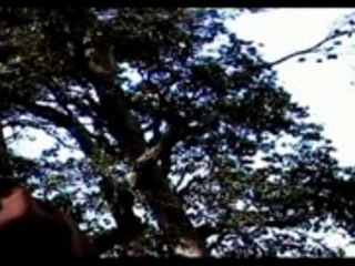 FanFilm Star Wars La menace des Siths